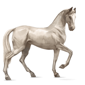 jezdecký kůň kwpn palomino