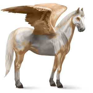 jezdecký pegas quarter horse cremello