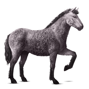 jezdecký kůň mustang plavák