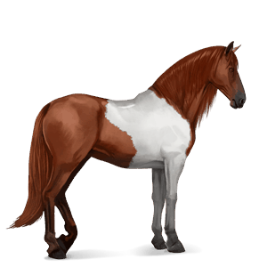 jezdecký kůň anglický plnokrevník palomino