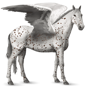 jezdecký pegas irský hunter cremello