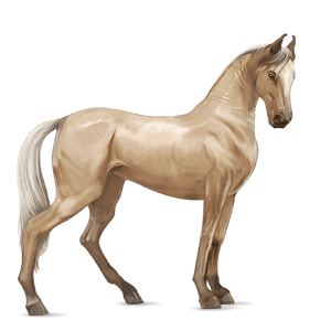 jezdecký kůň american paint horse palomino tobiano
