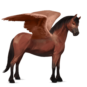 ponypegas new forest Černý hnědák