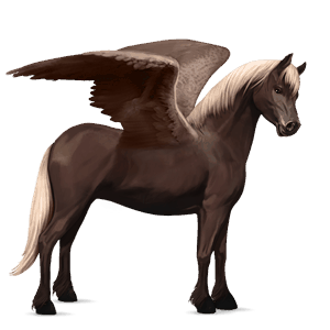ponypegas Černý hnědák