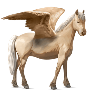 ponypegas tmavý hnědák
