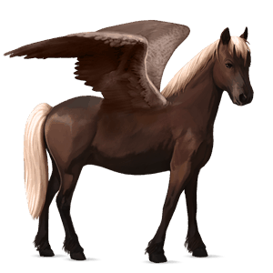 ponypegas velšský kůň játrový ryzák