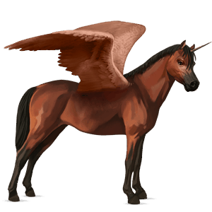 okřídlený poníkorožec  novofoundlandský pony tmavý hnědák