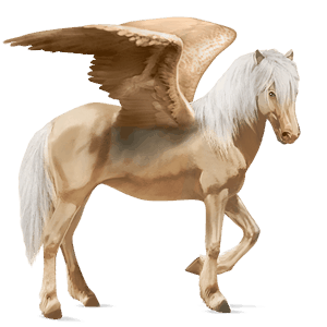 jezdecký pegas palomino