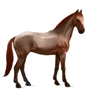 jezdecký kůň quarter horse světlý ryzák