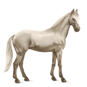 jezdecký kůň mustang hnědák