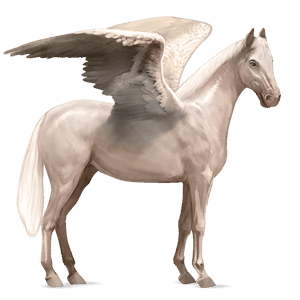 jezdecký pegas irský hunter cremello