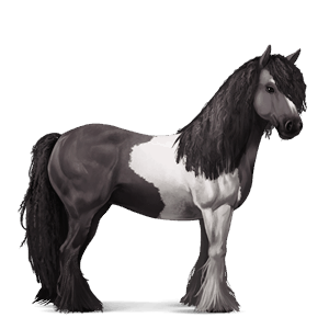 jezdecký kůň palomino tobiano