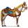 poník pláň