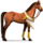 jezdecký jednorožec poušť