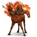 jezdecký kůň marwari palomino