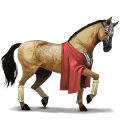 jezdecký pegas Černý hnědák