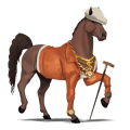 jezdecký kůň mustang bělouš