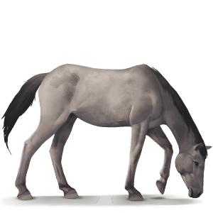 divoký kůň dülmenský pony
