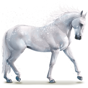 vodní kůň snowflake