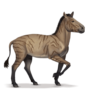 prehistorický kůň hipparion