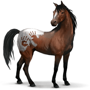 divoký kůň Španělský mustang